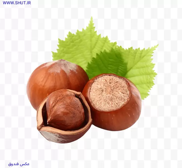 عکس فندق png