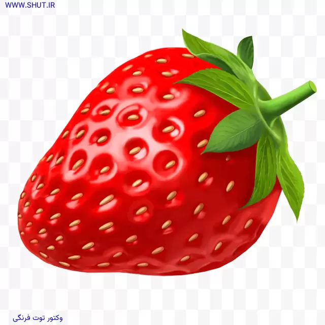 وکتور توت فرنگی