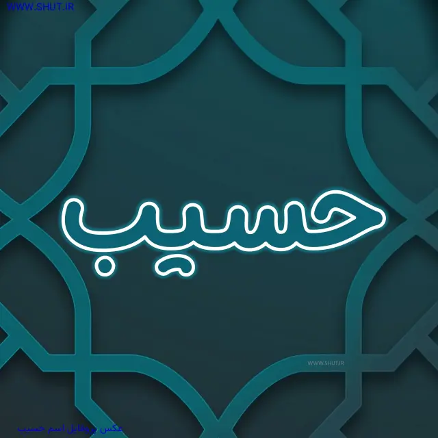 عکس پروفایل اسم حسیب