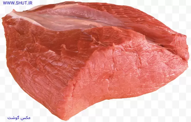 عکس گوشت