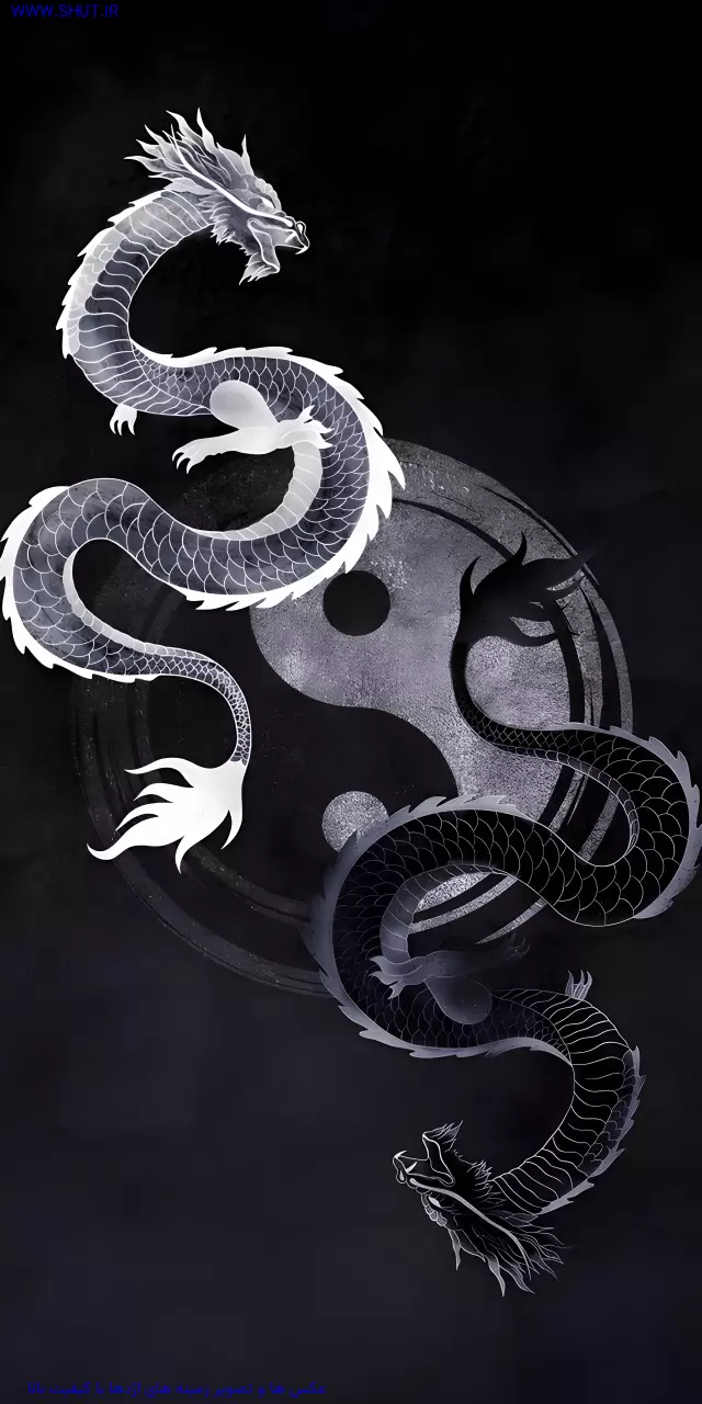  عکس اژدها برای تصویر زمینه