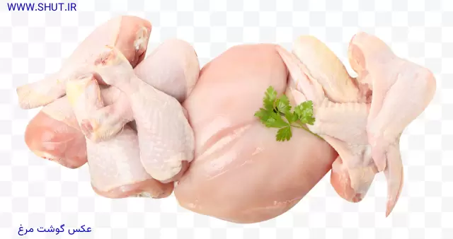 عکس گوشت مرغ