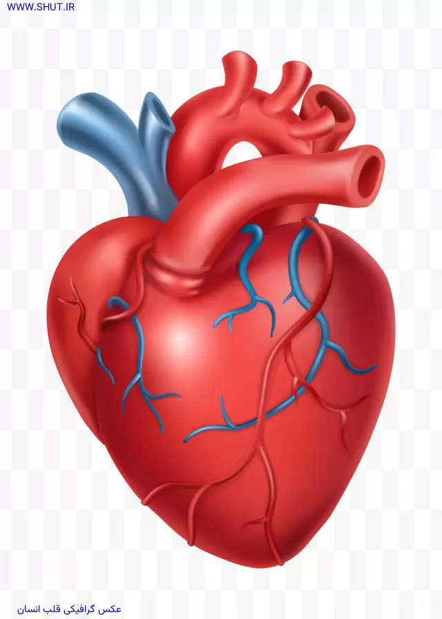 عکس گرافیکی قلب انسان