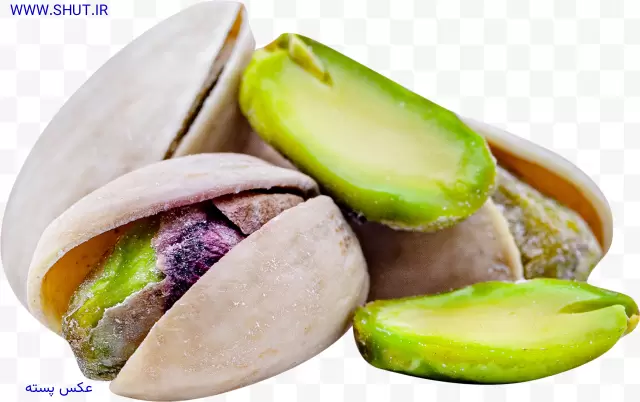 عکس پسته