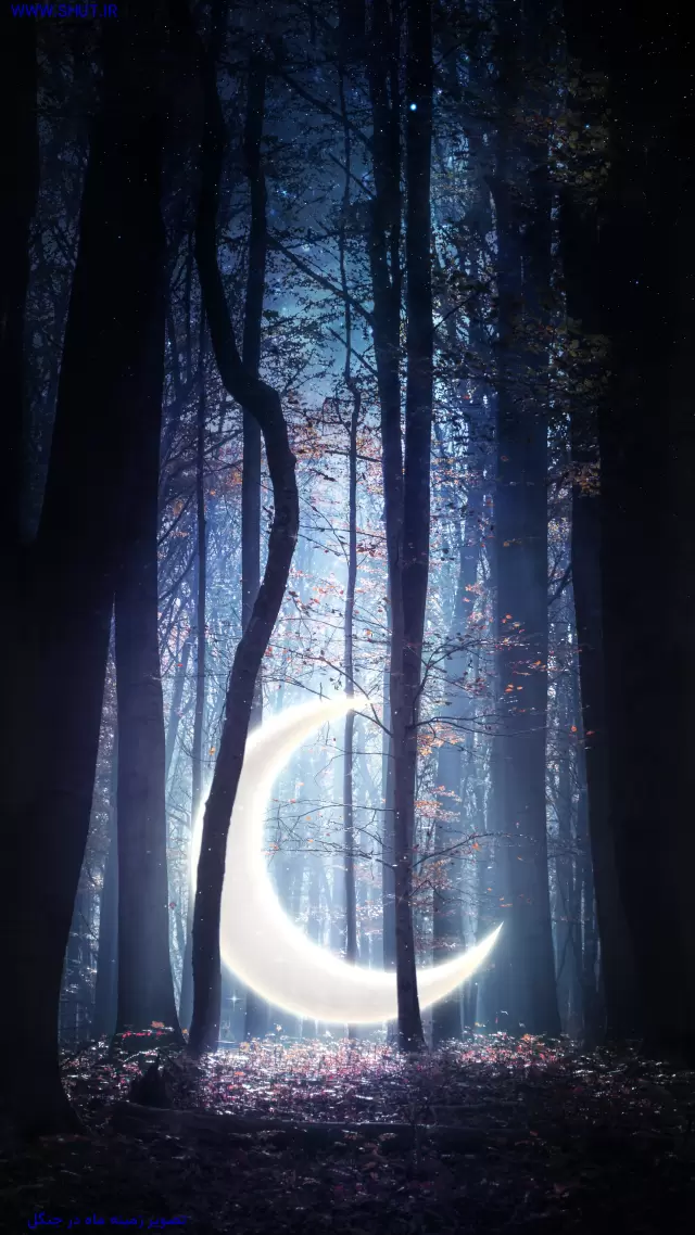 تصویر زمینه ماه در جنگل