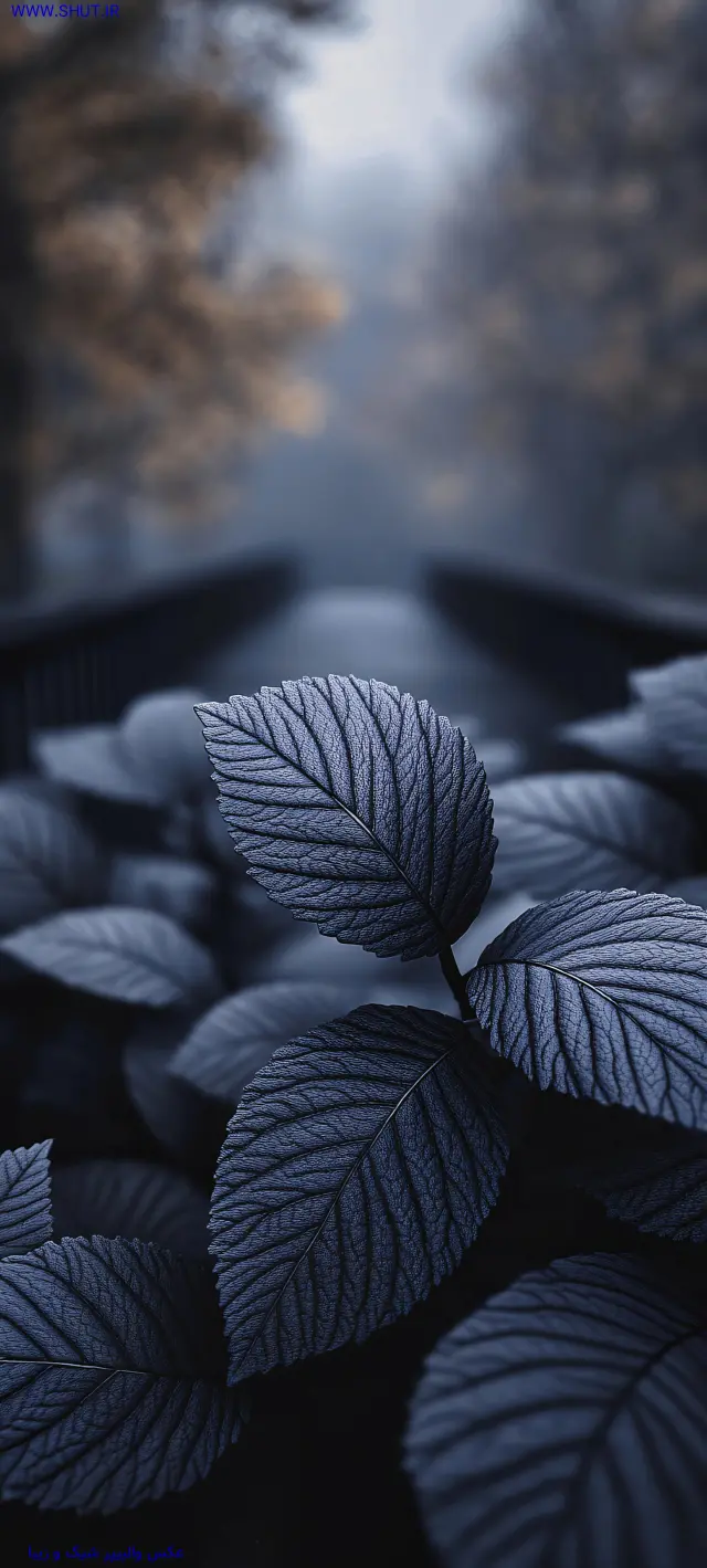 عکس پروفایل خفن پسرانه