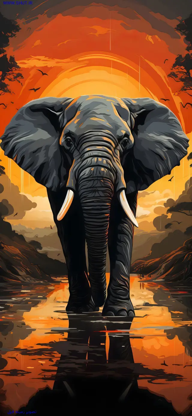 تصویر زمینه فیل