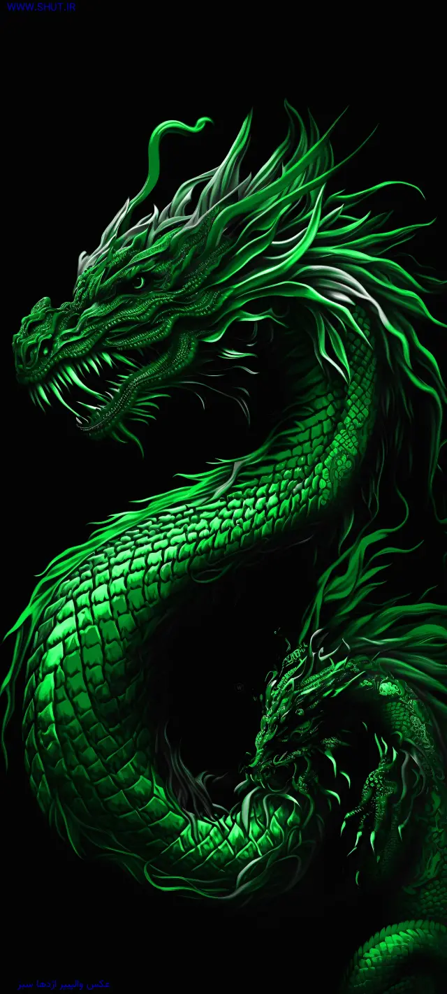  عکس اژدها