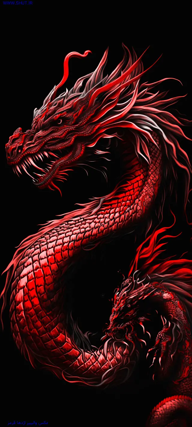  عکس اژدها