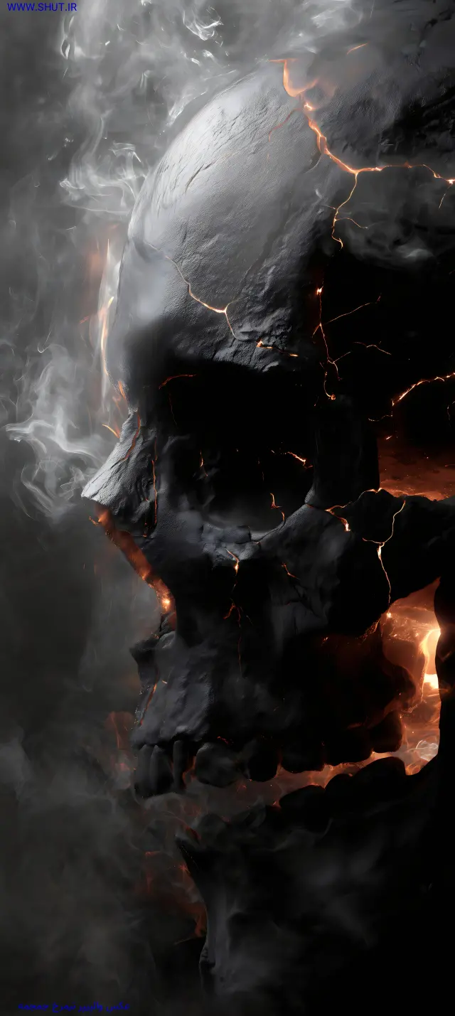 عکس والپیپر نیمرخ جمجمه