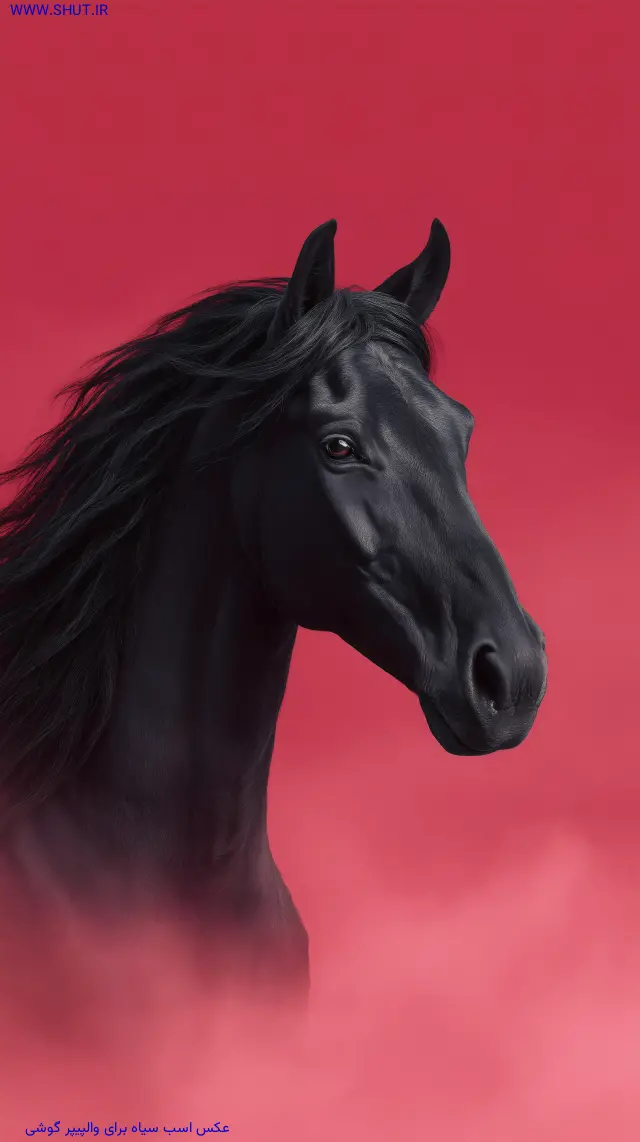 عکس اسب سیاه برای والپیپر گوشی