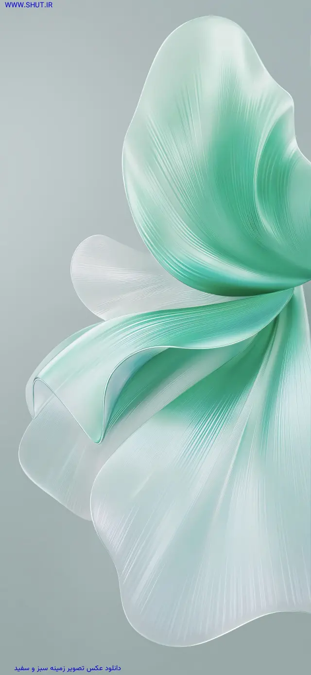 دانلود عکس تصویر زمینه سبز و سفید 8K