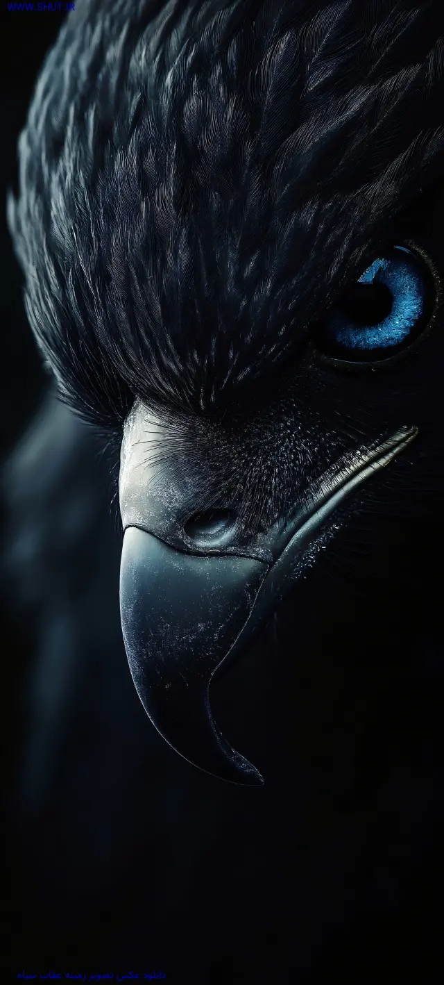  عکس با کیفیت بالا برای پس زمینه