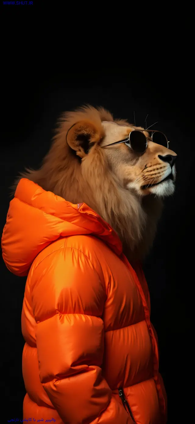 والپیپر شیر با کاپشن نارنجی
