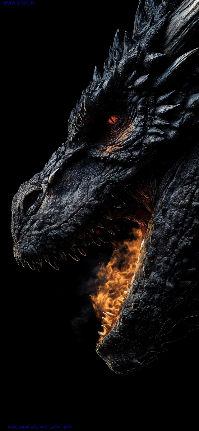  عکس اژدها
