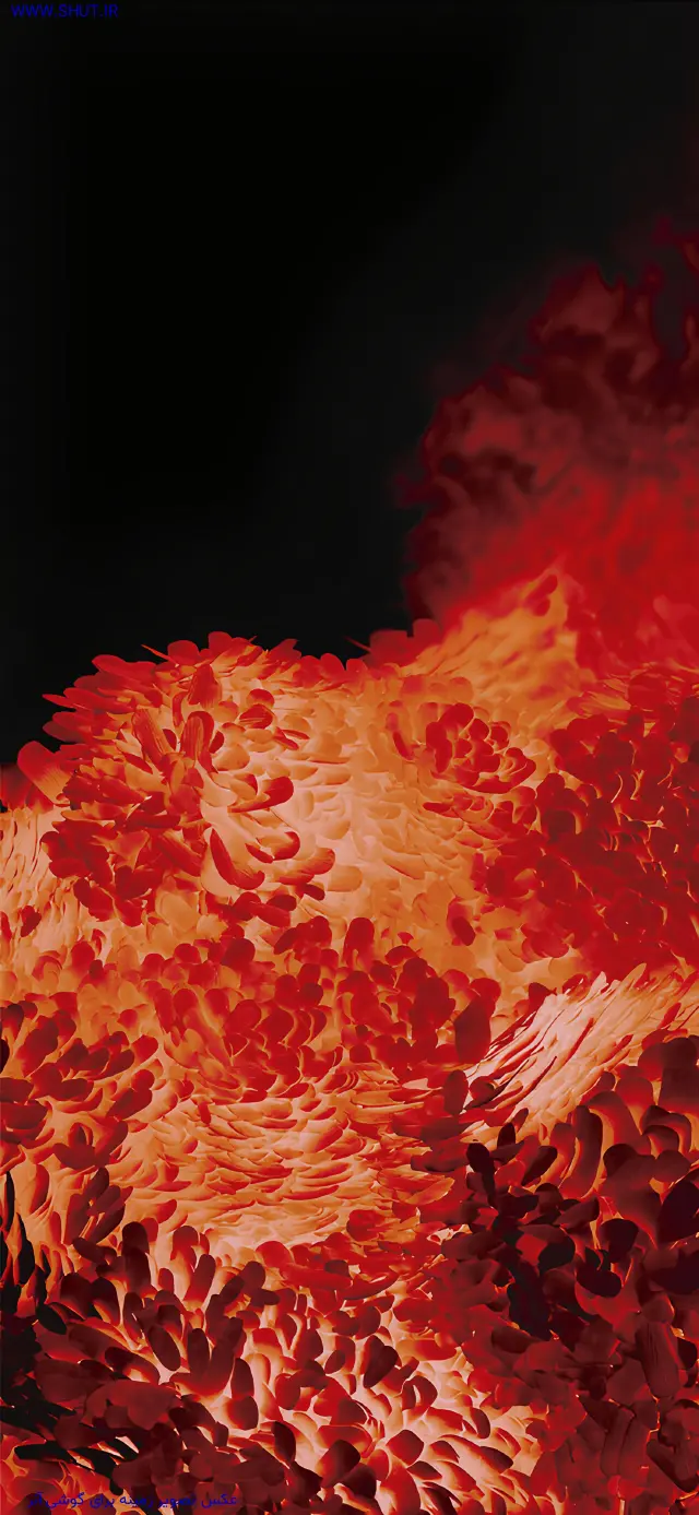 عکس تصویر زمینه برای گوشی آنر