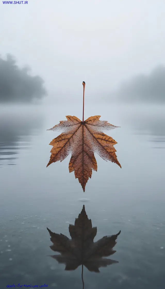 عکس پس زمینه زیبا برای واتساپ