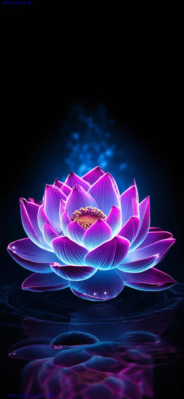 عکس گل نیلوفر آبی برای بک گراند