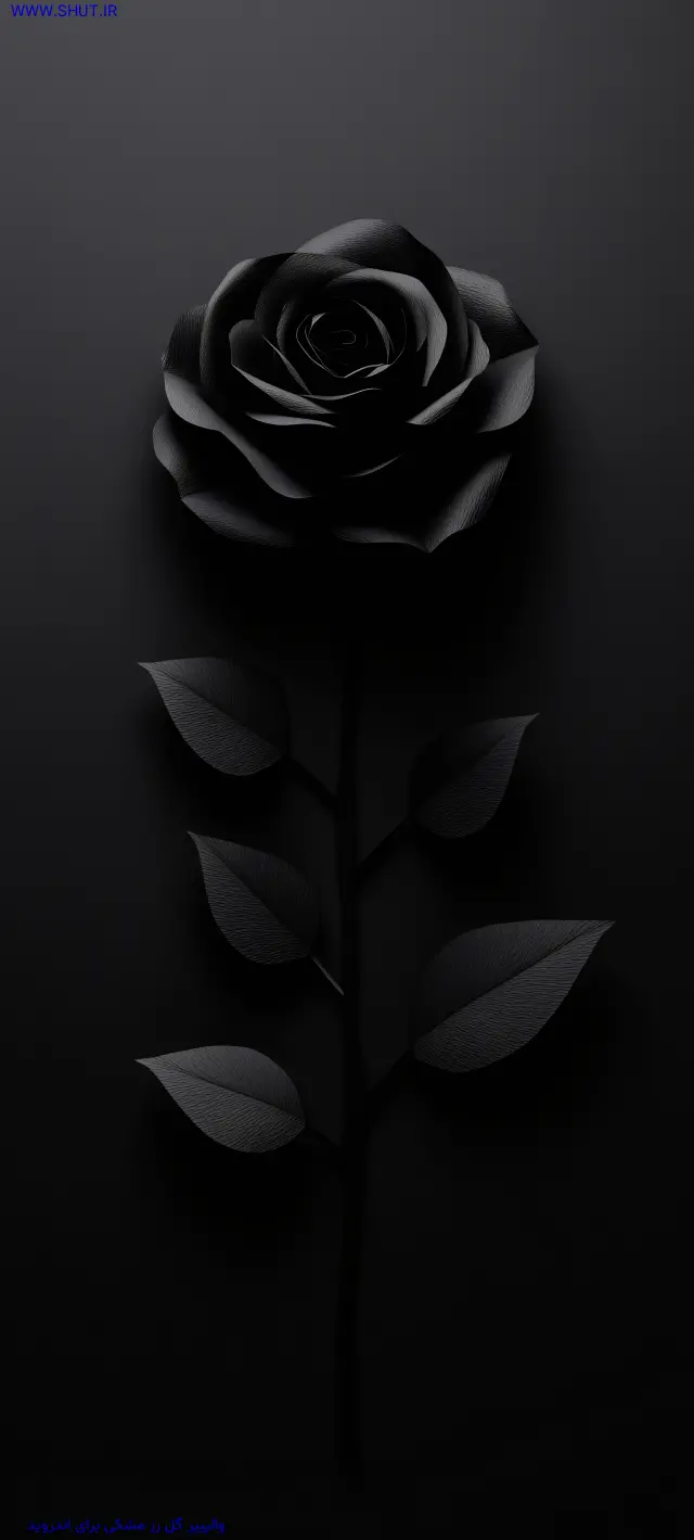 عکس گل برای تصویر زمینه گوشی سامسونگ