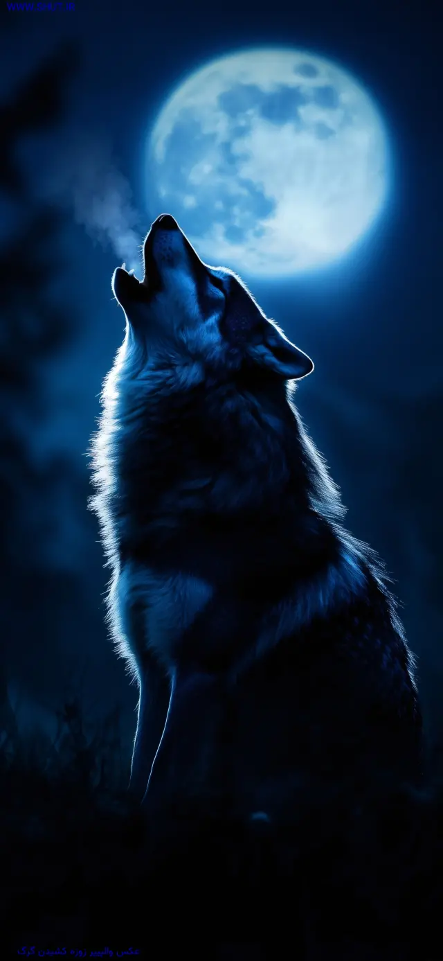  والپیپر عکس گرگ