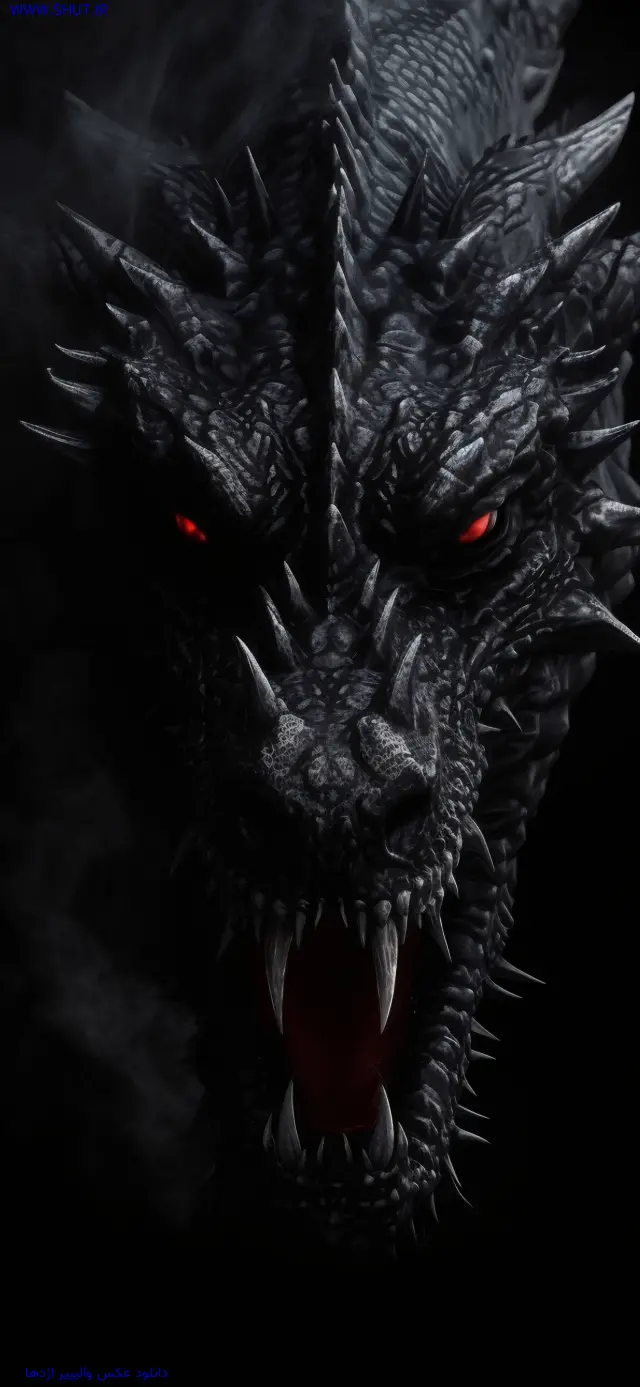  عکس اژدها