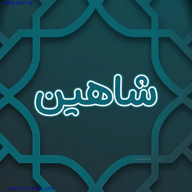 عکس پروفایل اسم شاهین