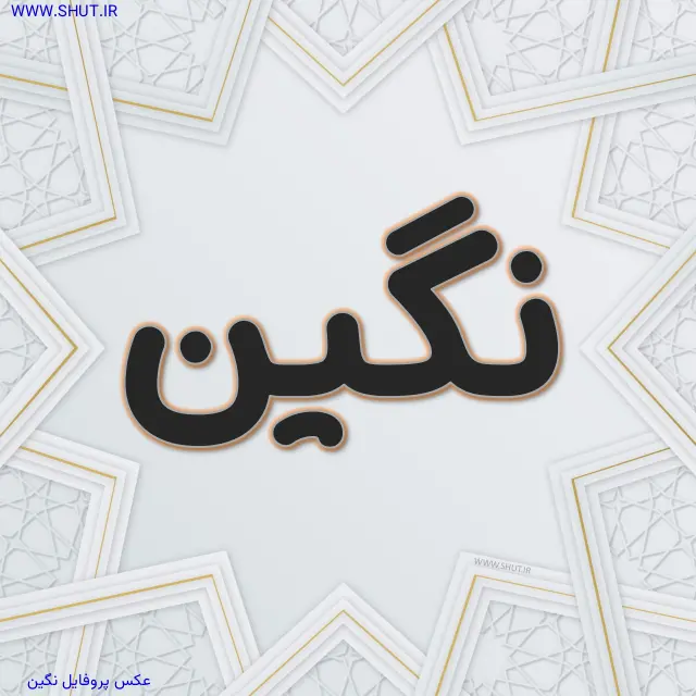 عکس پروفایل نگین