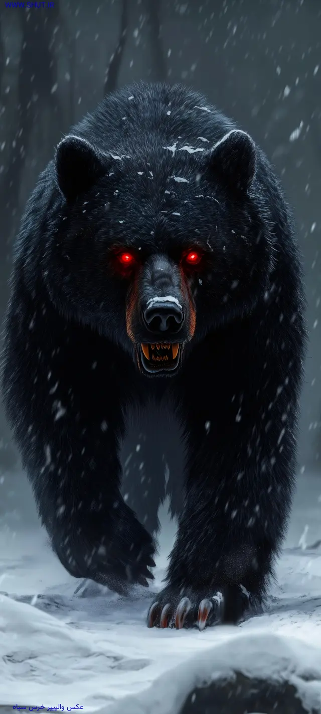  عکس خرس کارتونی برای تصویر زمینه