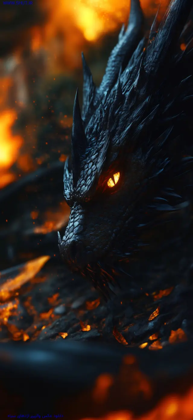  عکس اژدها