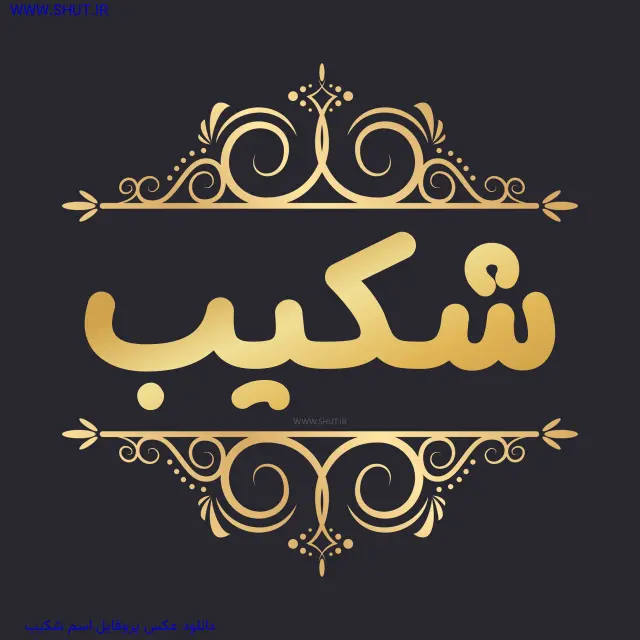 دانلود عکس پروفایل اسم شکیب