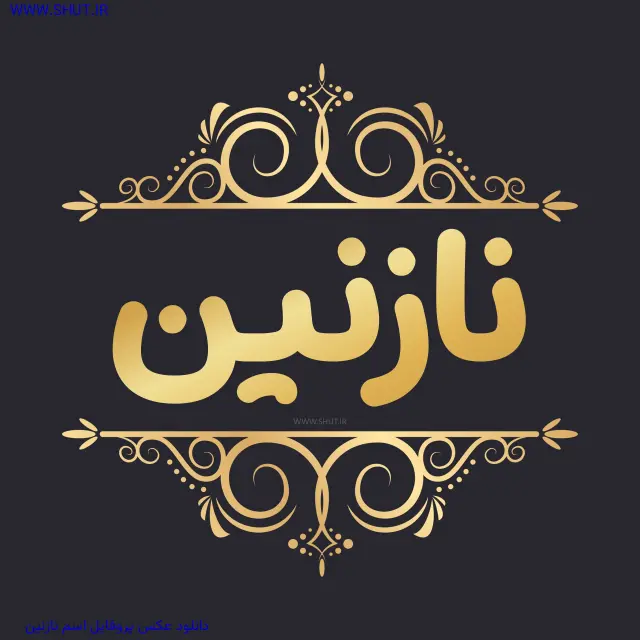 دانلود عکس پروفایل اسم نازنین