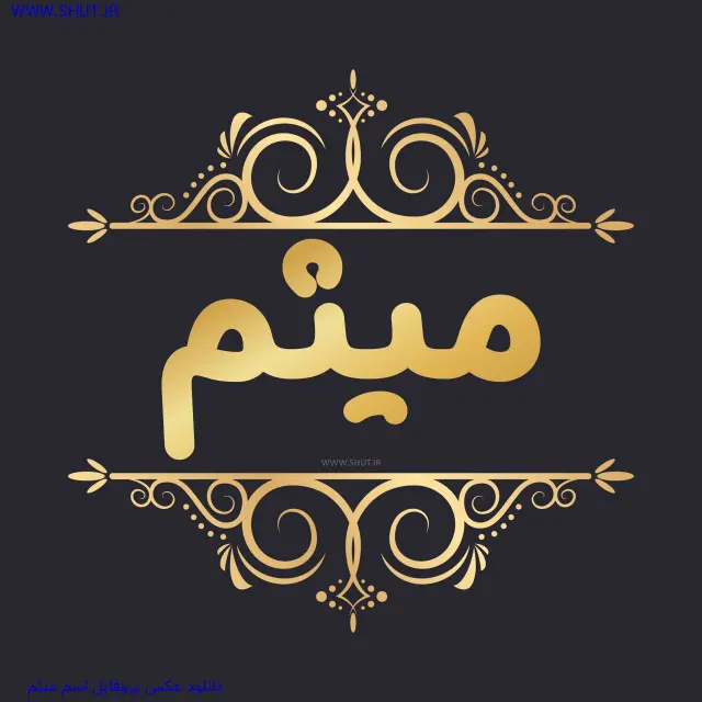 دانلود عکس پروفایل اسم میثم