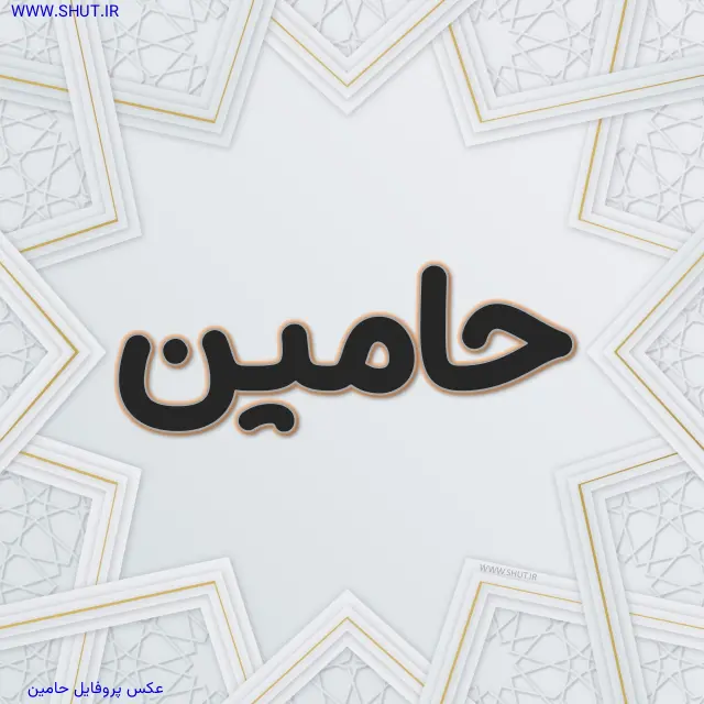 عکس پروفایل حامین