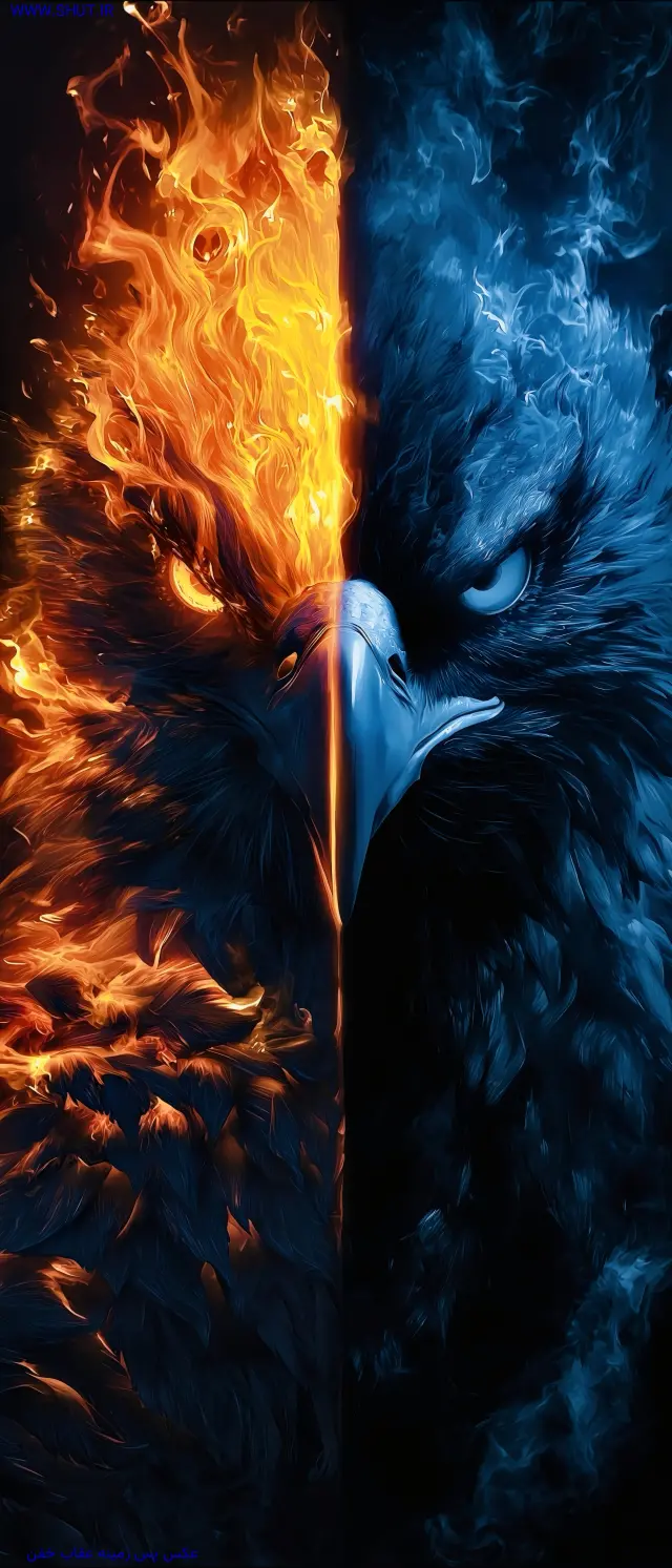  دانلود عکس با کیفیت برای پس زمینه