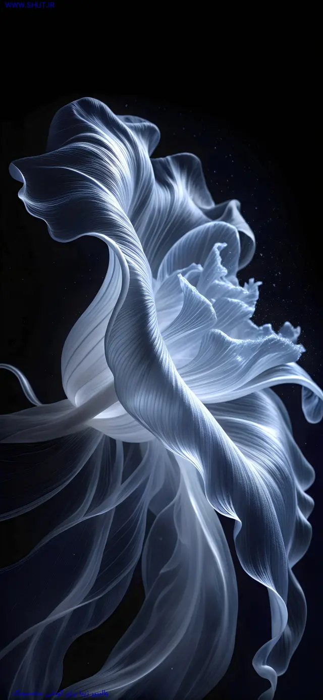  دانلود عکس با کیفیت برای پس زمینه