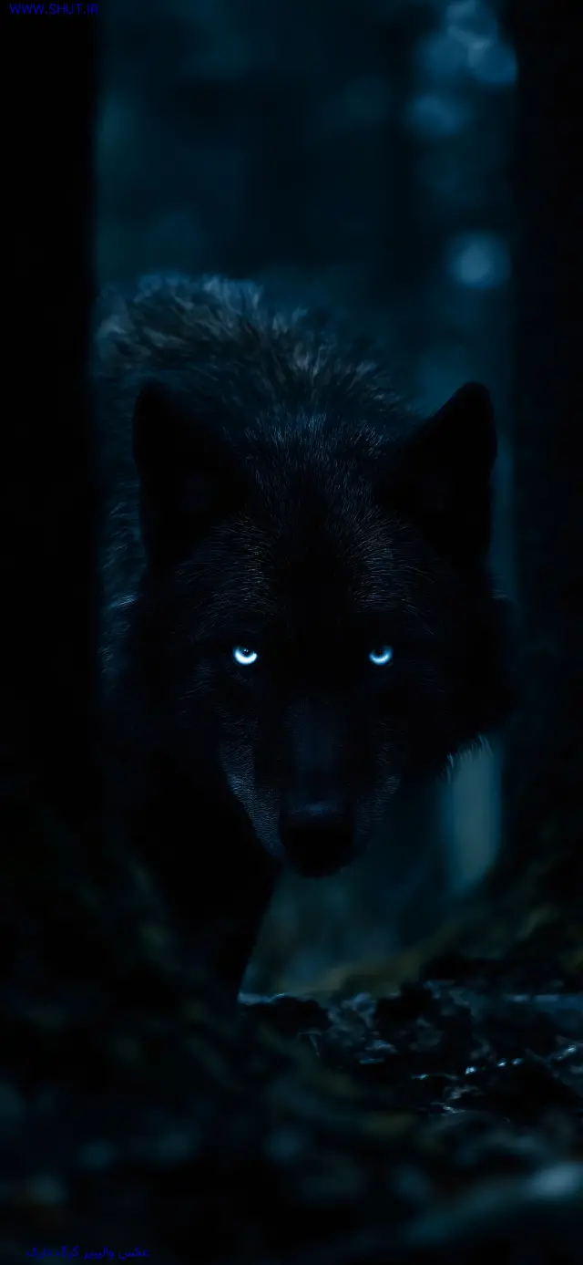 عکس والپیپر گرگ دارک 8K