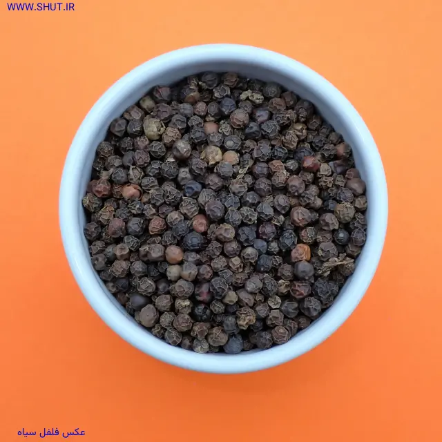 عکس فلفل سیاه