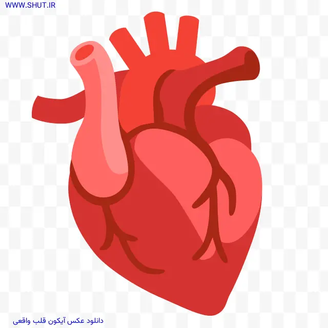 دانلود عکس آیکون قلب واقعی