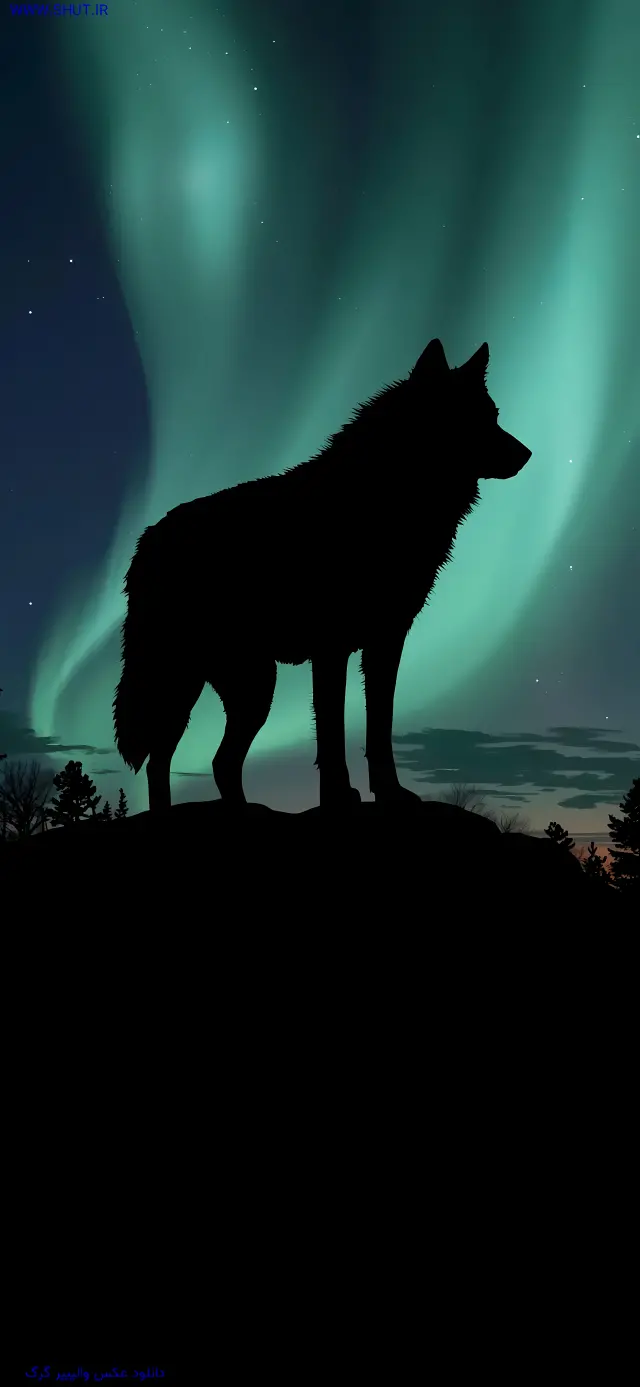 دانلود عکس والپیپر گرگ