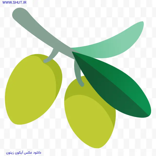 دانلود عکس آیکون زیتون