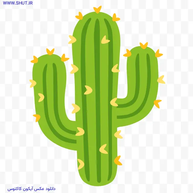دانلود عکس آیکون کاکتوس