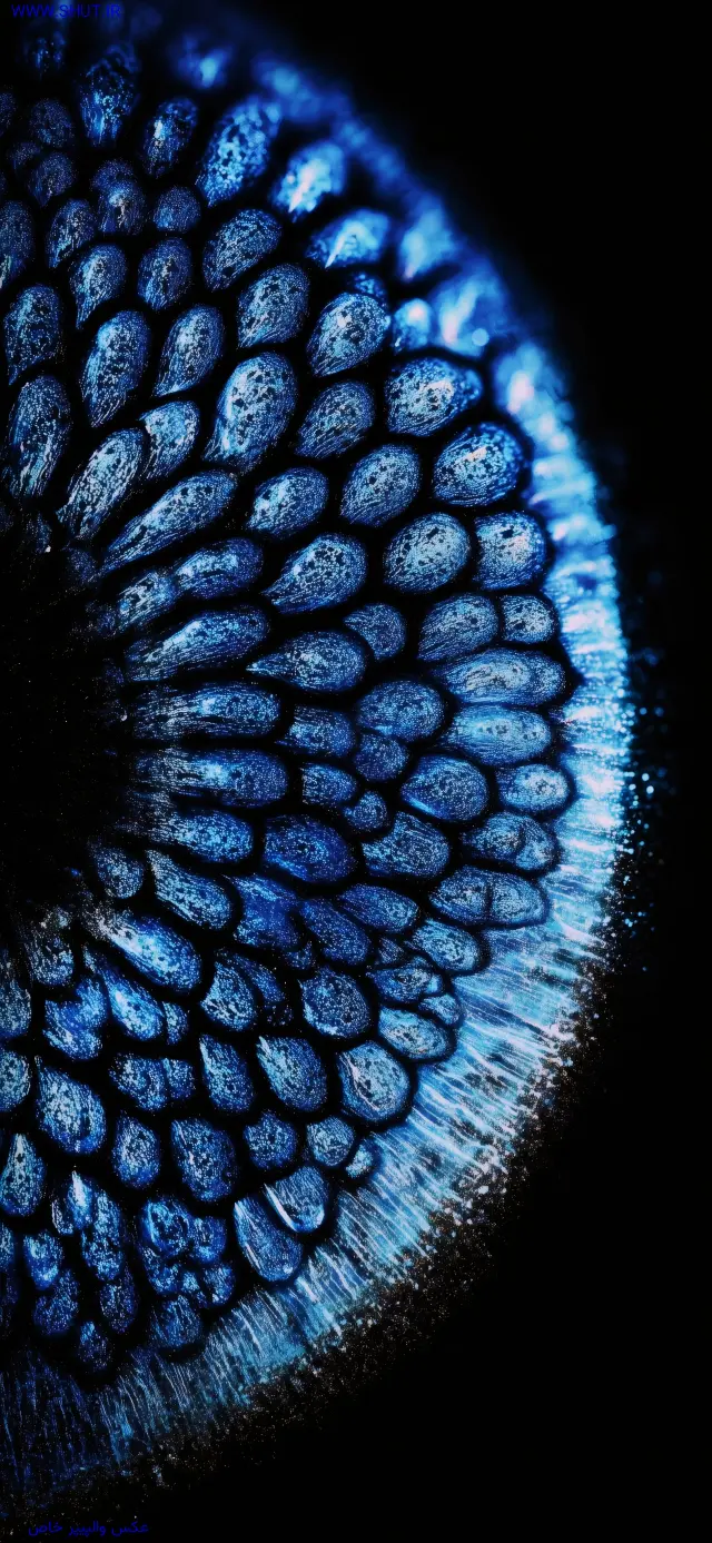 عکس والپیپر خاص