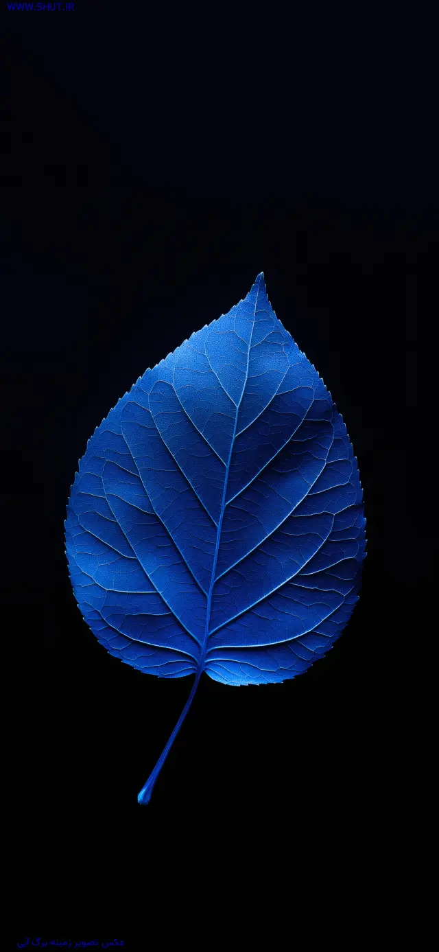 عکس تصویر زمینه برگ آبی