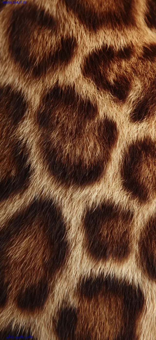 عکس والپیپر پلنگی